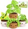Crochet Plants Indoor Home Kit (4HousePlant) 3 x 4 x 2 inches